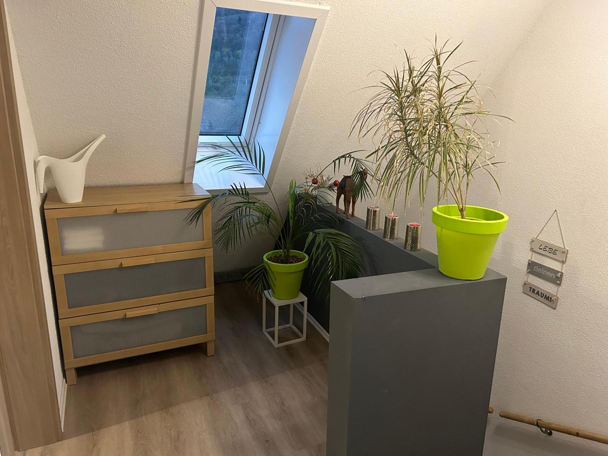 באד זקינגן Ferienhaus Ayna, Direkt An Der Schweizer Grenze מראה חיצוני תמונה